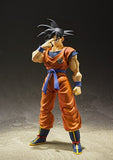 Dragon Ball Z - Son Goku - A Saiyan Raised on Earth Action Figure - oasis figurine